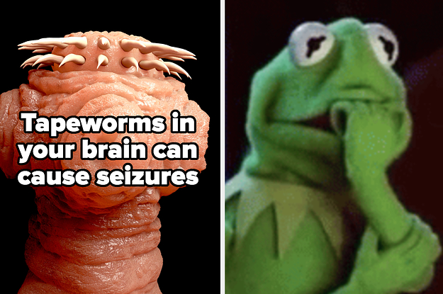 Here's Why You Can't Tickle Yourself, Plus 15 Other Weird Things I Learned About The Human Brain