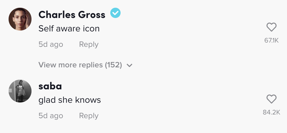 Charles Gross wrote &quot;self-aware icon&quot;