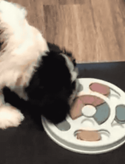 gif of a reviewer's dog using the treat dispenser