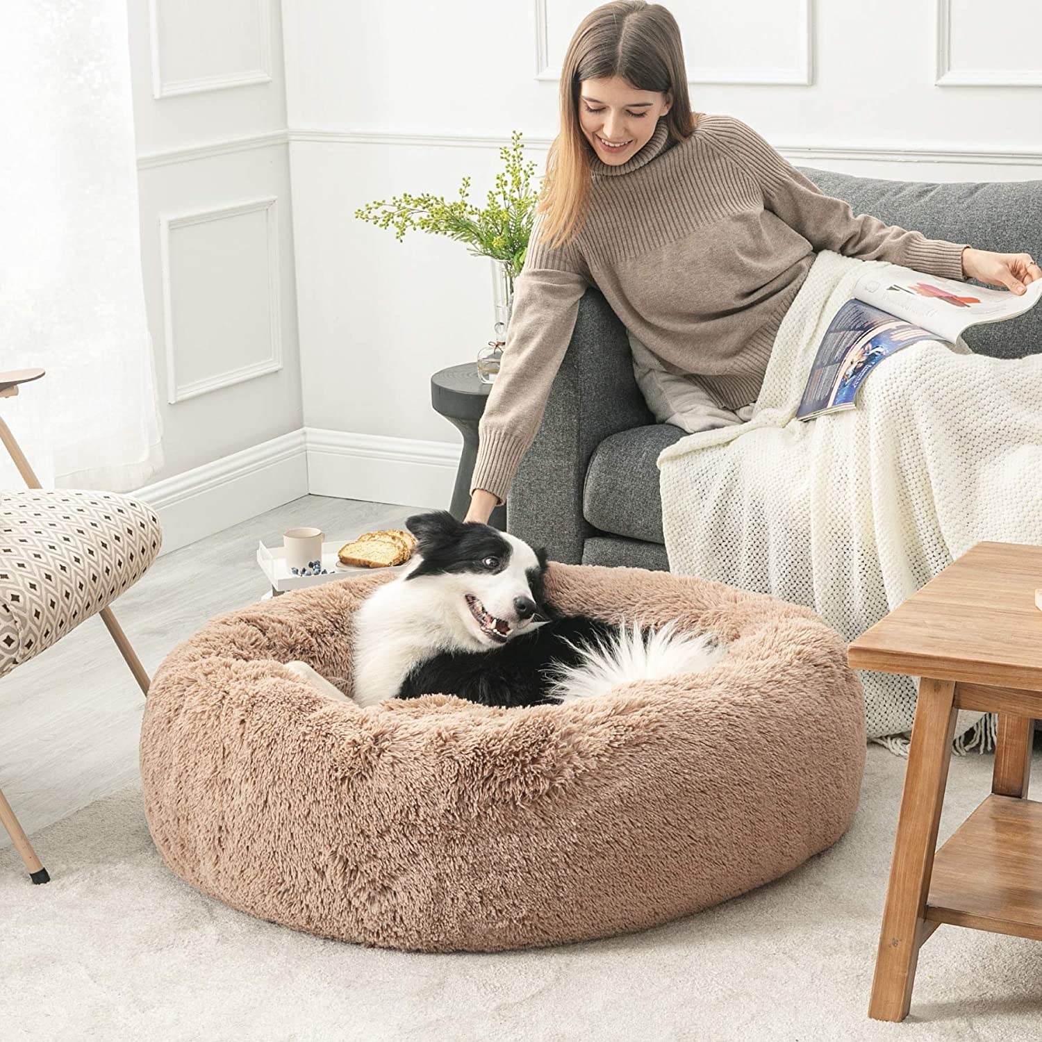 A person petting a border collie that is lying on the bed