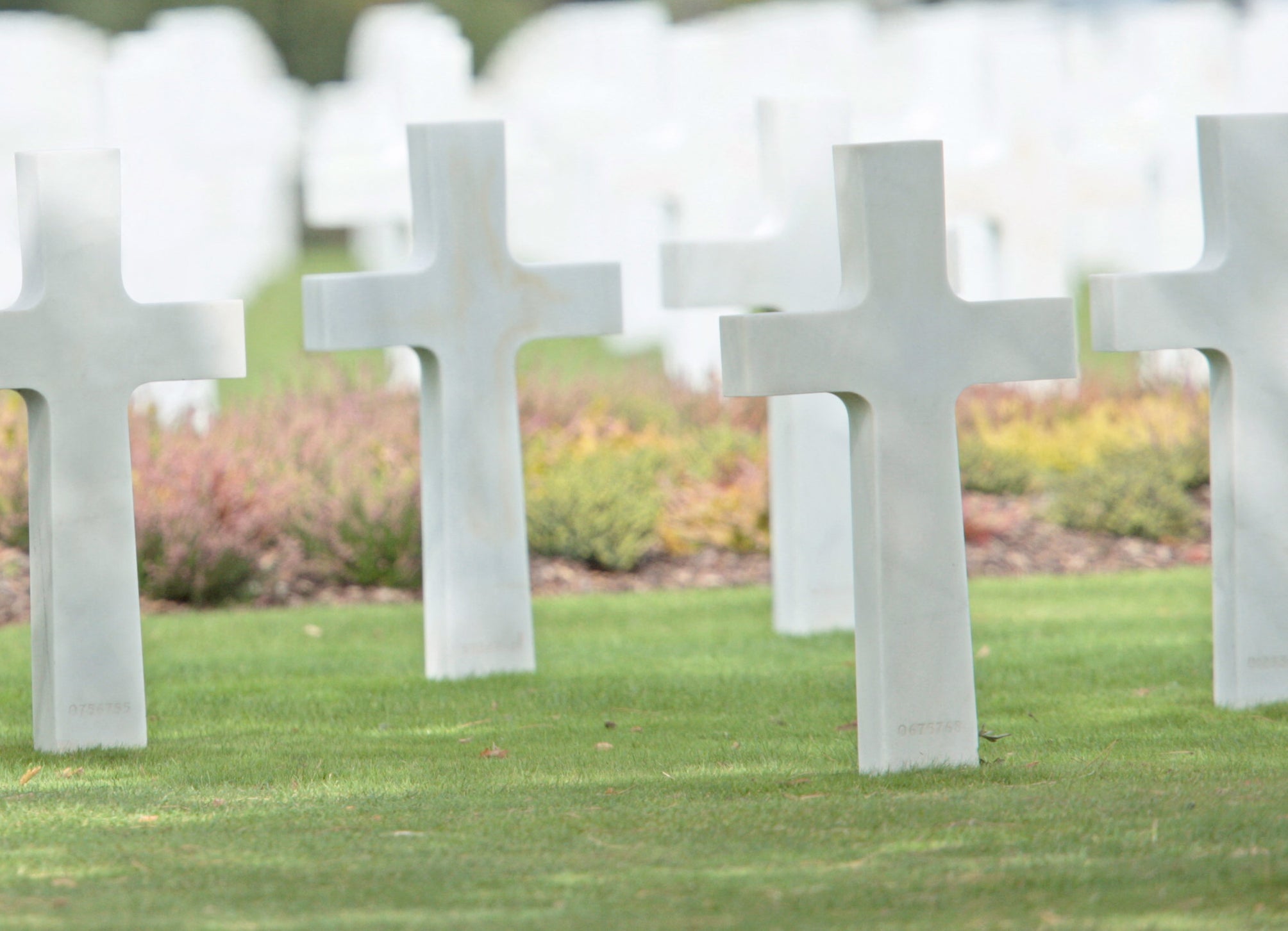 crosses demarcating the graves of military members