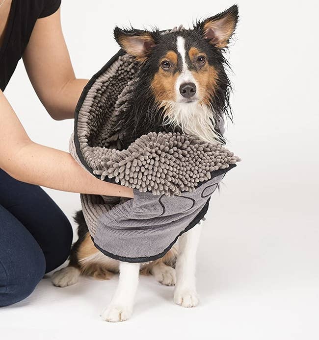 a model using the microfiber towel on a wet dog
