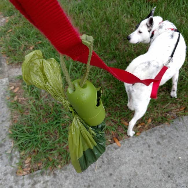 a reviewer photo of a full poop bag tied to a dog leash