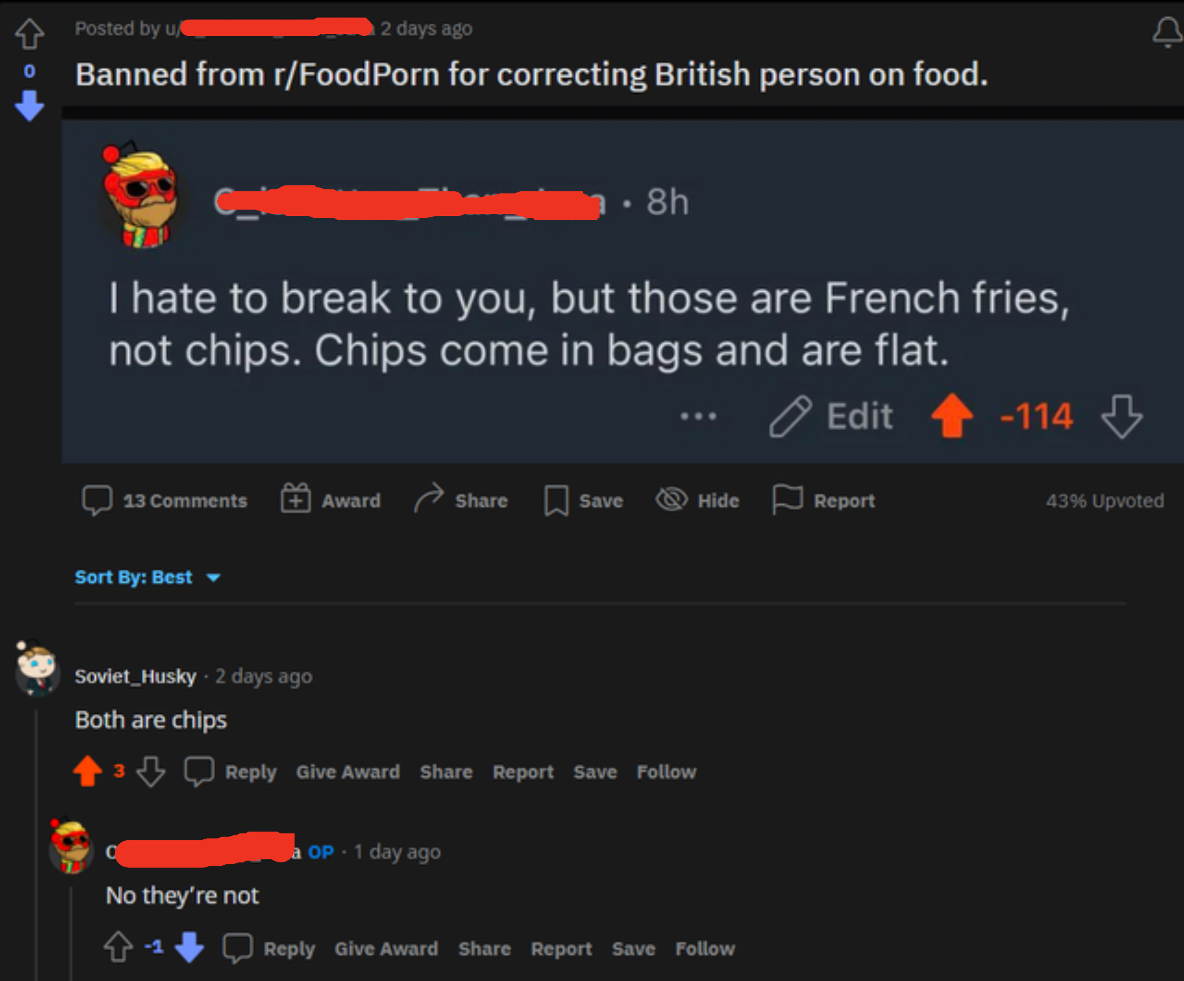 person who does not understand that britiish people call fries chips