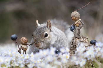 photograph of squirrel beside tiny people made of acorns