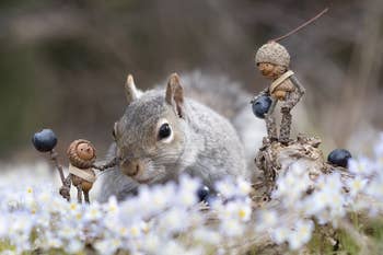 photograph of squirrel beside tiny people made of acorns