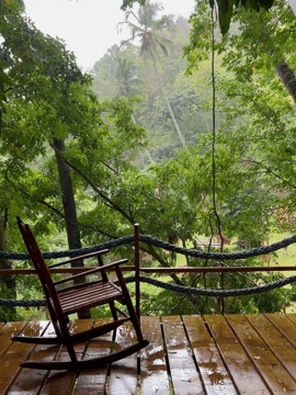 the rain in the tree house