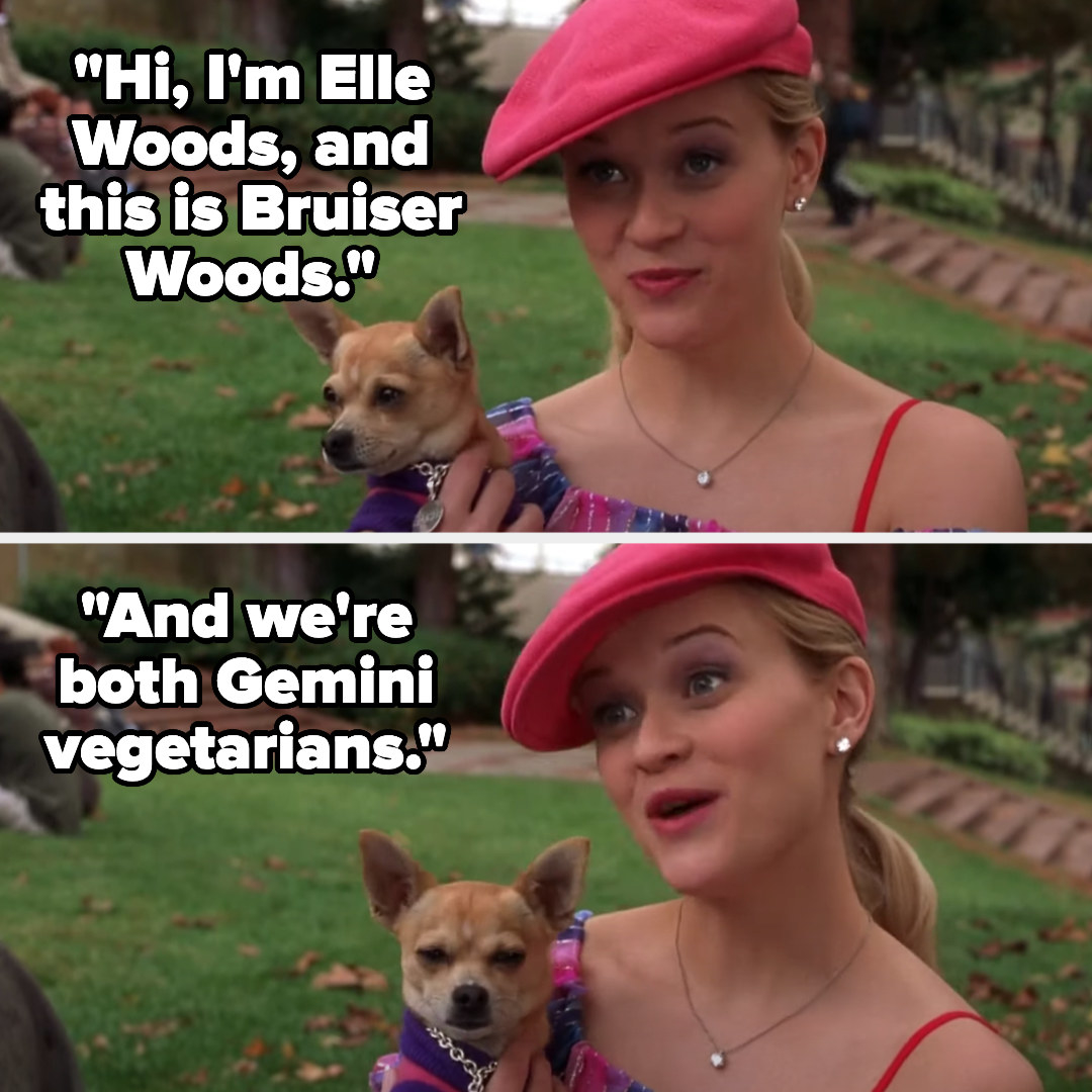 Elle introducing herself at Harvard in Legally Blonde: &quot;Hi, I&#x27;m Elle Woods, and this is Bruiser Woods, and we&#x27;re both gemini vegetarians&quot;