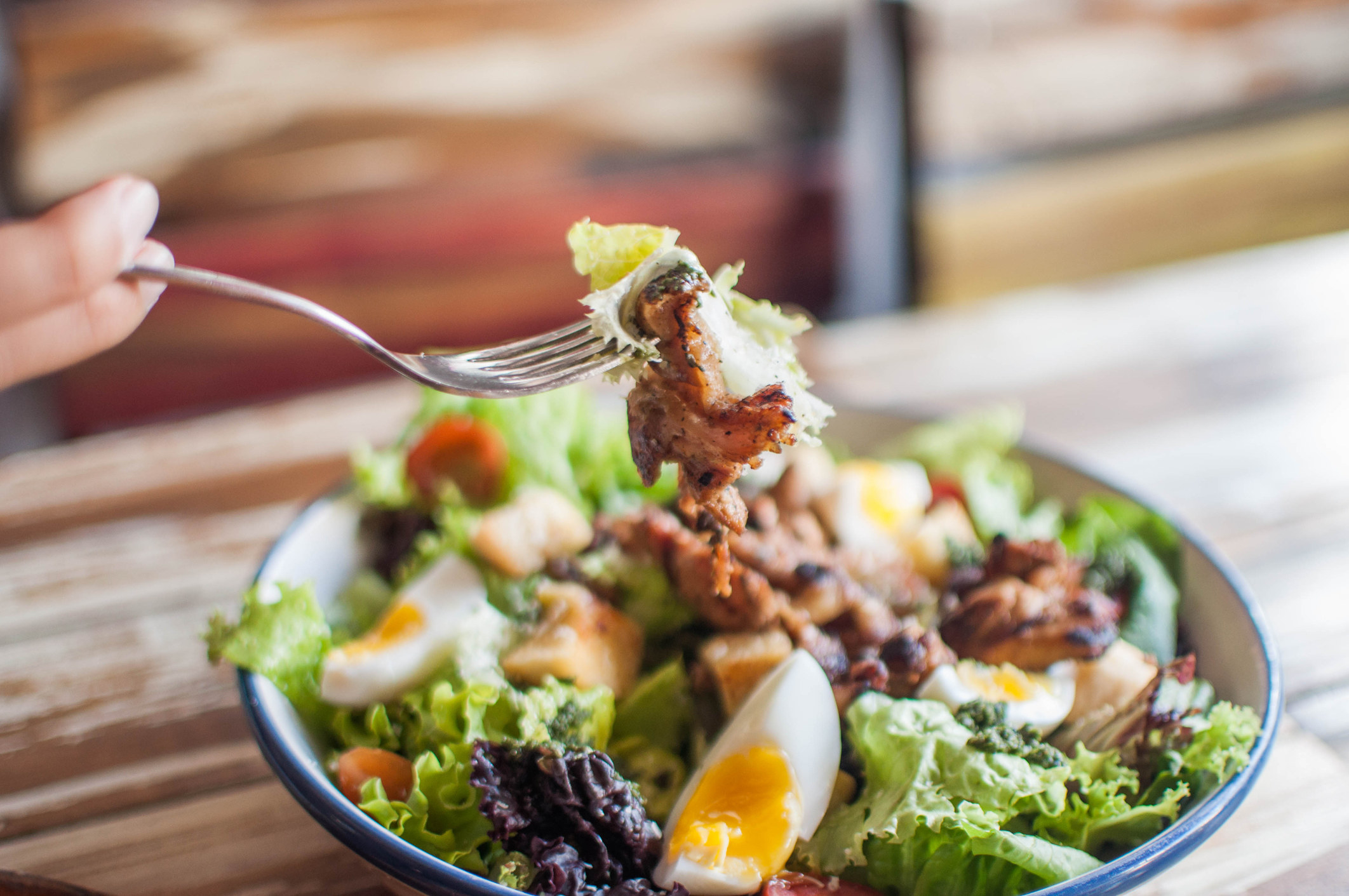 A big fresh salad with chicken, lettuce, and egg