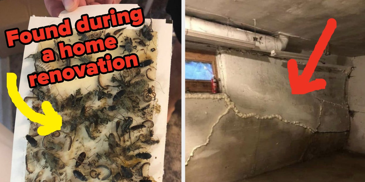 15 Pictures That Prove You Should Always — ALWAYS — Get A
Home Inspection Before Moving In