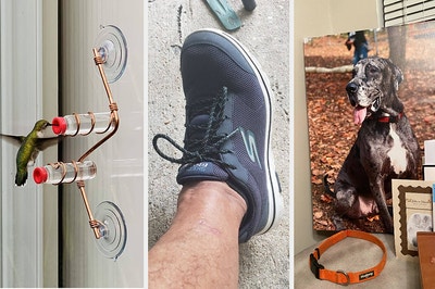 three panels showing a window-mounted hummingbird feeder, a reviewer wearing a sneaker, a canvas photo print of a dog 