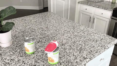 Gif of the electric can opener opening a can on its own