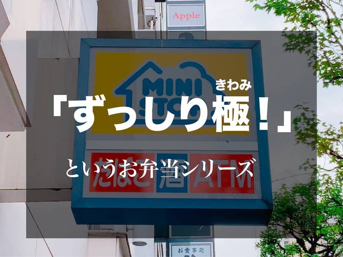 なんかもうデカすぎて笑った ミニストップの てんこ盛り弁当 どうみても一人前じゃない なんかもうデカすぎて笑った ミニストップの てんこ盛り弁当 どうみても一人前じゃない