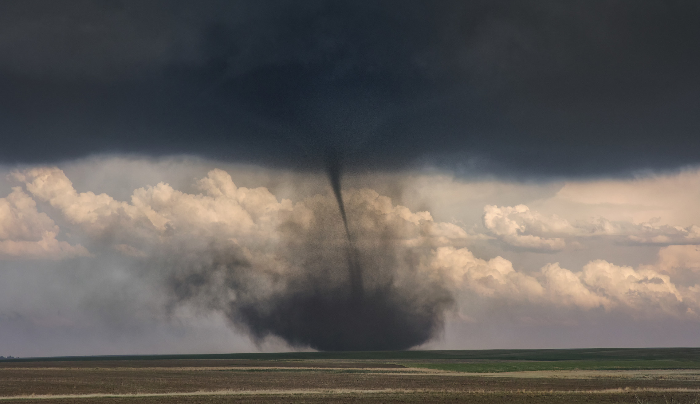 A stock image of a landspout forming in a field
