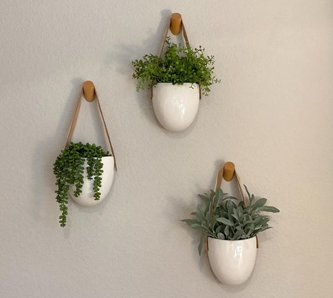 Reviewer photo of the three wooden hooks and three plants hanging off them