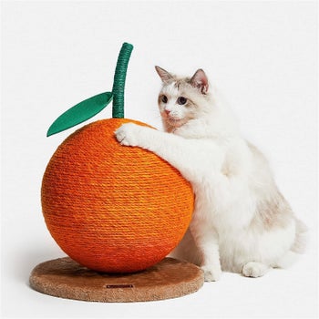cat beside peached shaped rope scratcher