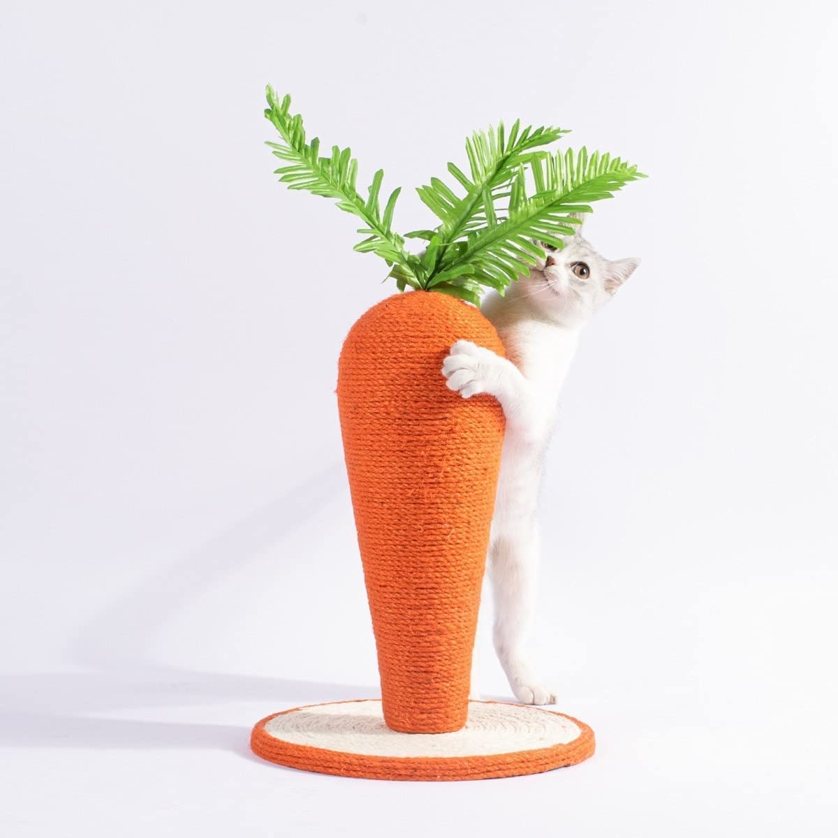 cat using scratcher that looks like a carrot