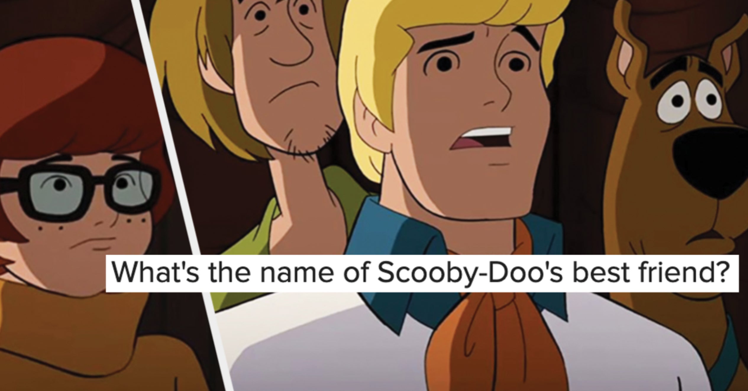 Can You Ace This 2000s Cartoon Trivia Quiz?