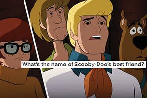 Velma, Shaggy, Fred, and Scooby-Doo stand next to each other in a group