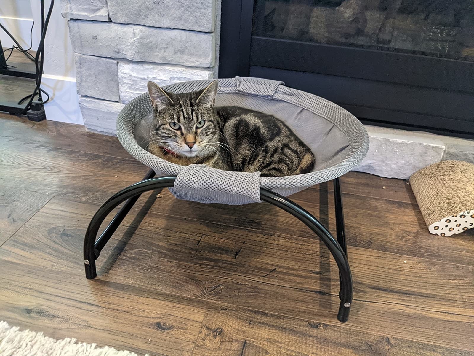 reviewer image of a striped cat lounging in the gray pet hammock