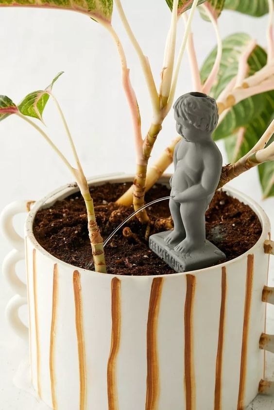 The statue of a boy &quot;peeing&quot; out water into a potted plant