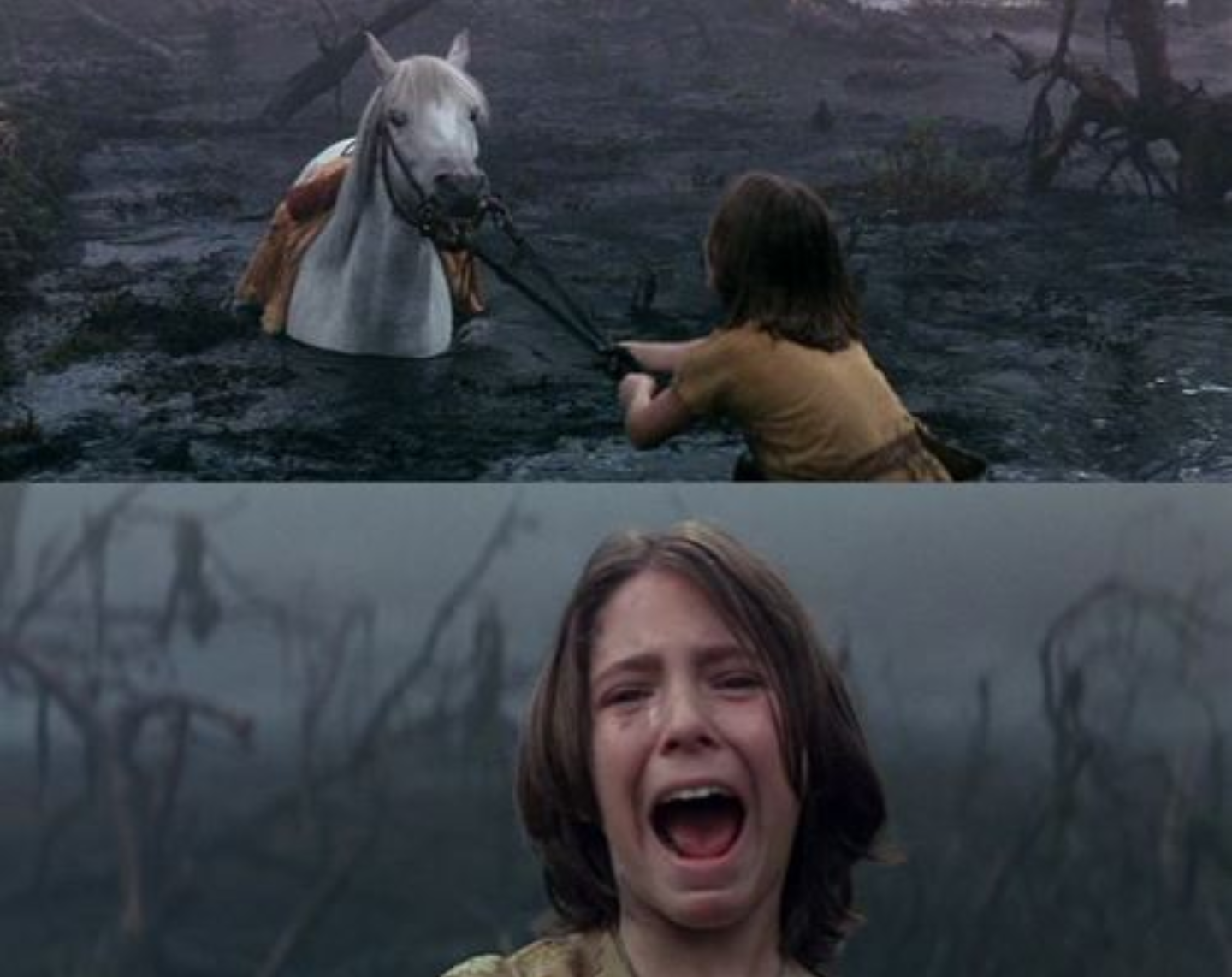 atreyu crying trying to save artax from drowning