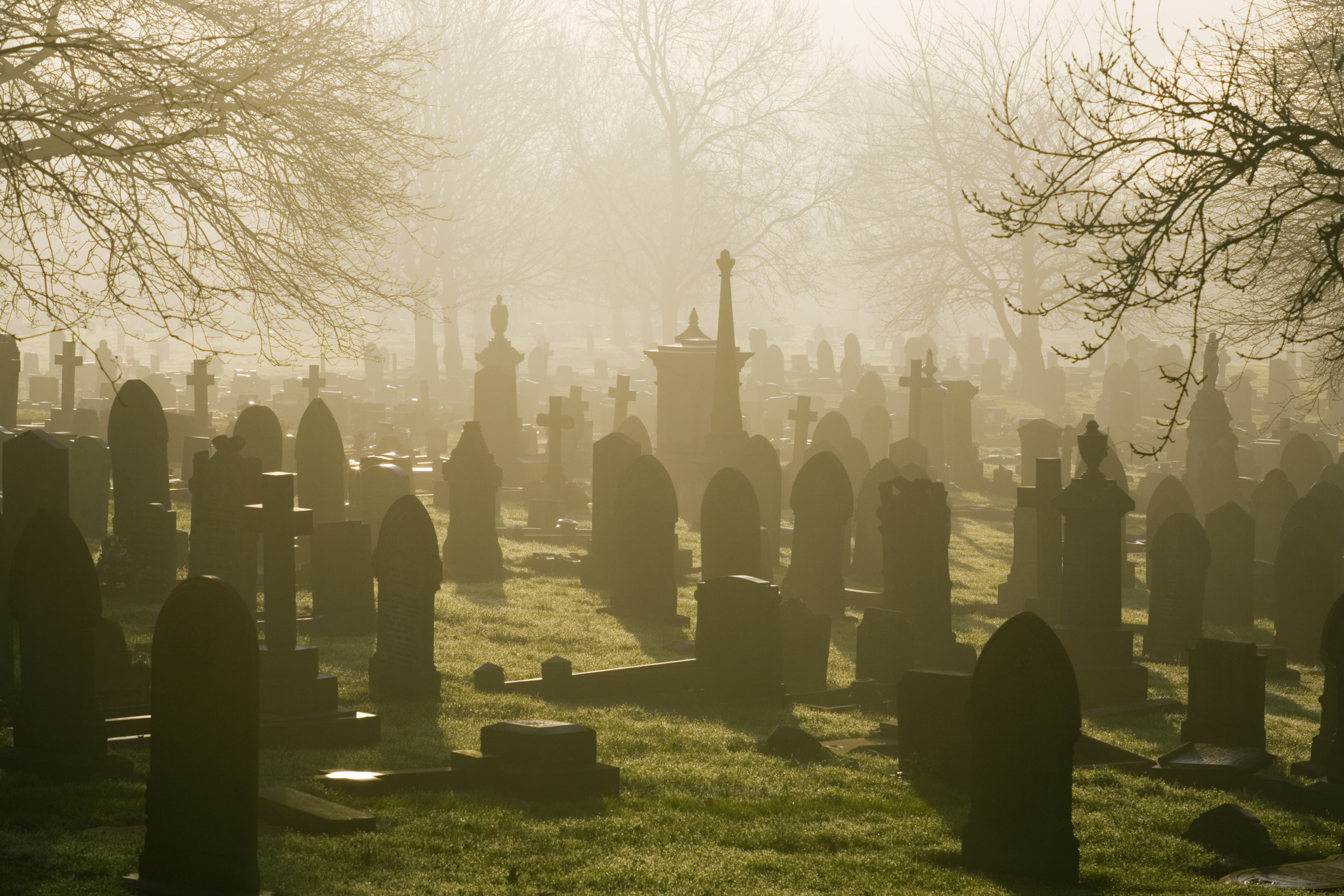 Low winter sunlight flooding through a misty cemetery in Stoke-on-Trent
