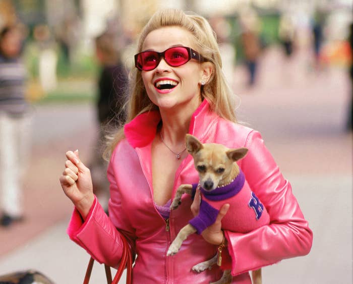 Elle holds her pet dog while wearing matching pink outfits and standing on a college campus