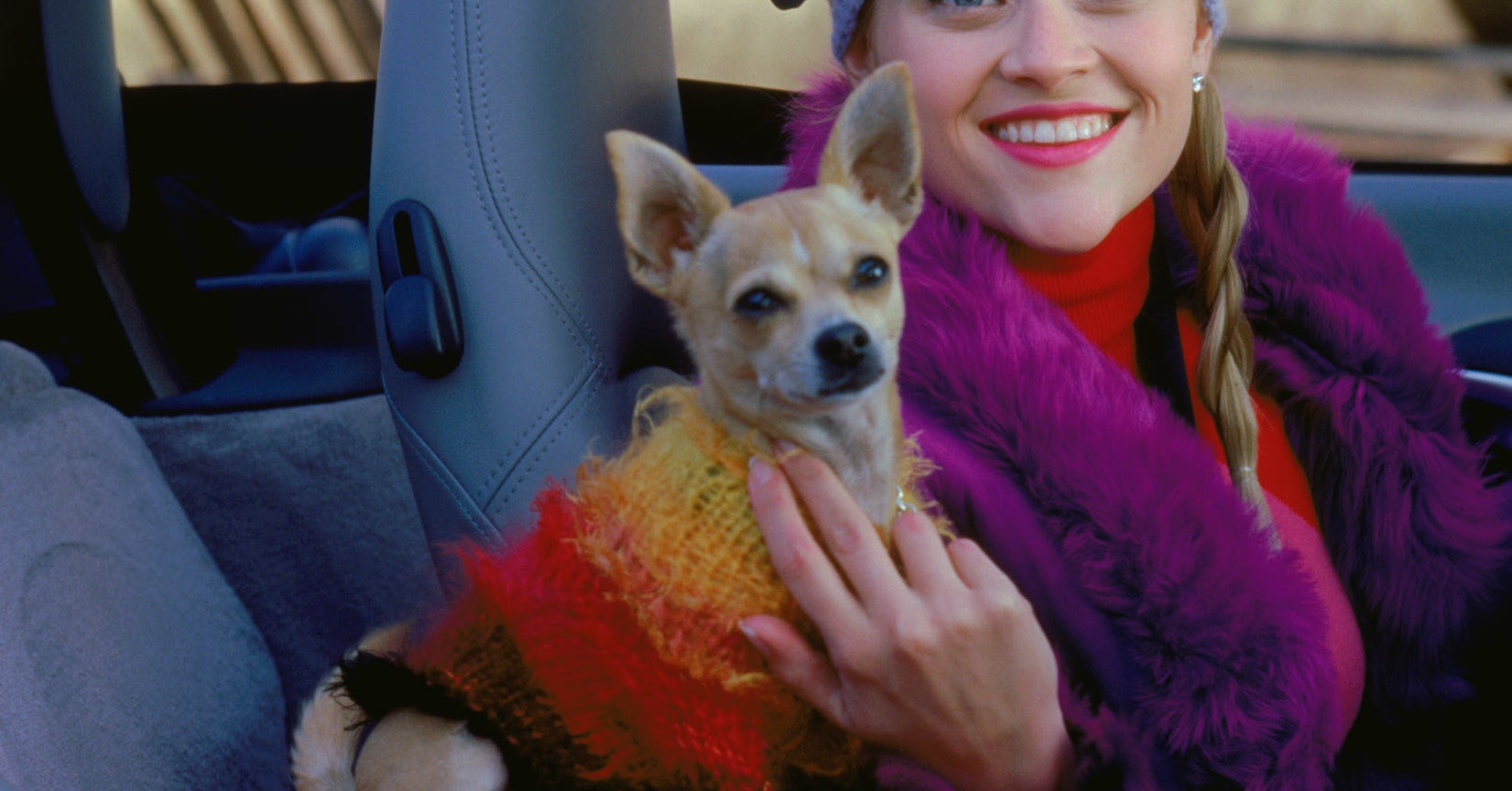 Here's What We Know About The Upcoming Third "Legally Blonde" Movie