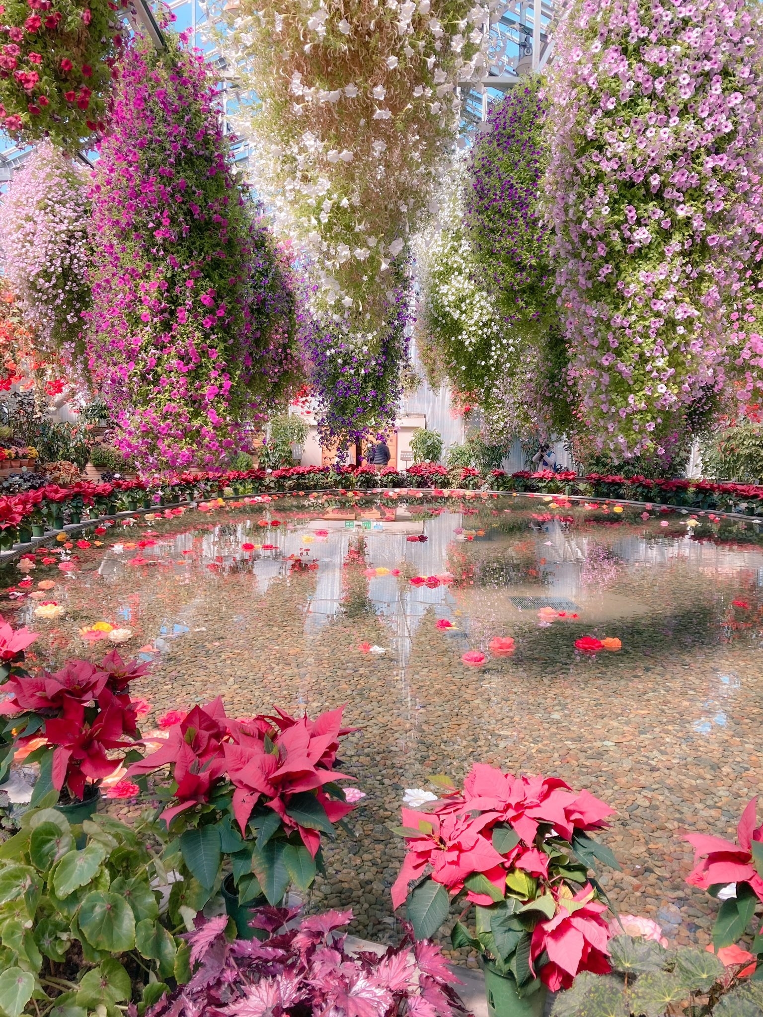 ここは極楽浄土か？」おばあちゃんもビックリの“天国“が三重にあった