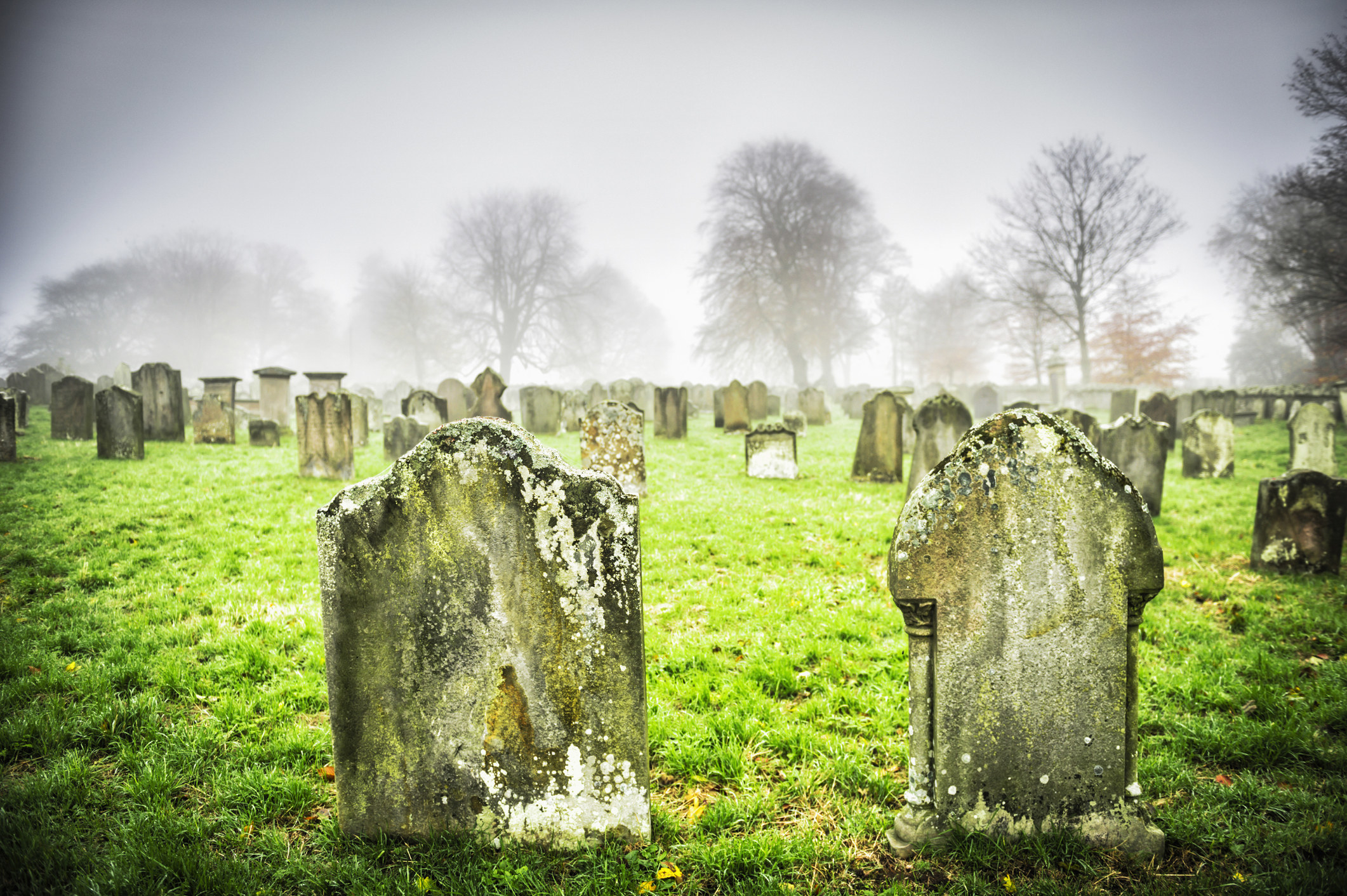 an old foggy graveyard