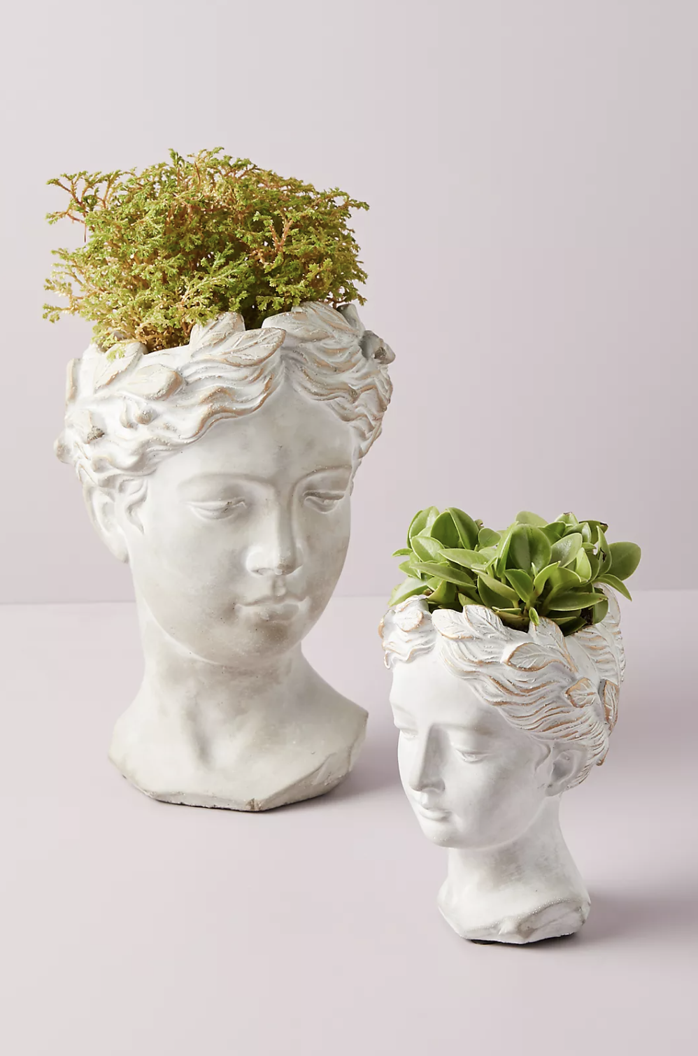 the small and large grecian bust planters