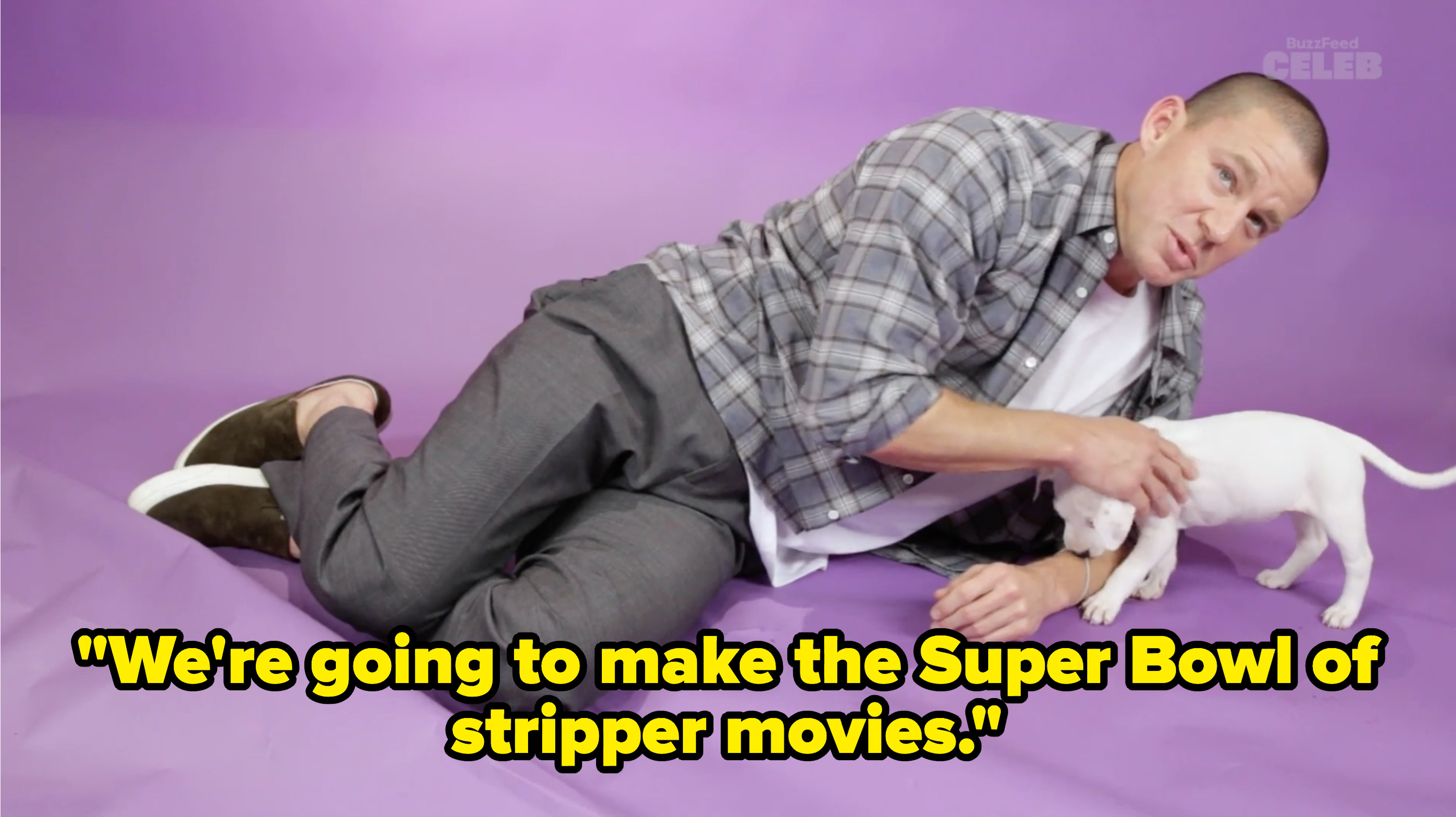 Channing Tatum answering questions while playing with puppies
