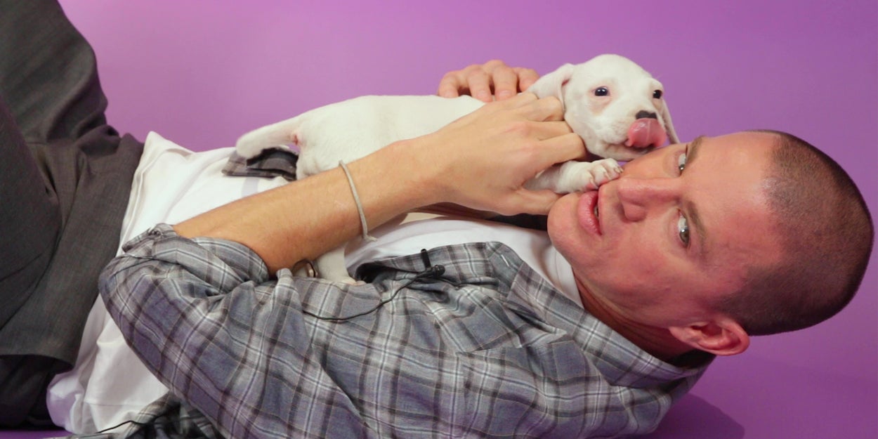 Channing Tatum Answered Fan Questions While Playing With
Puppies