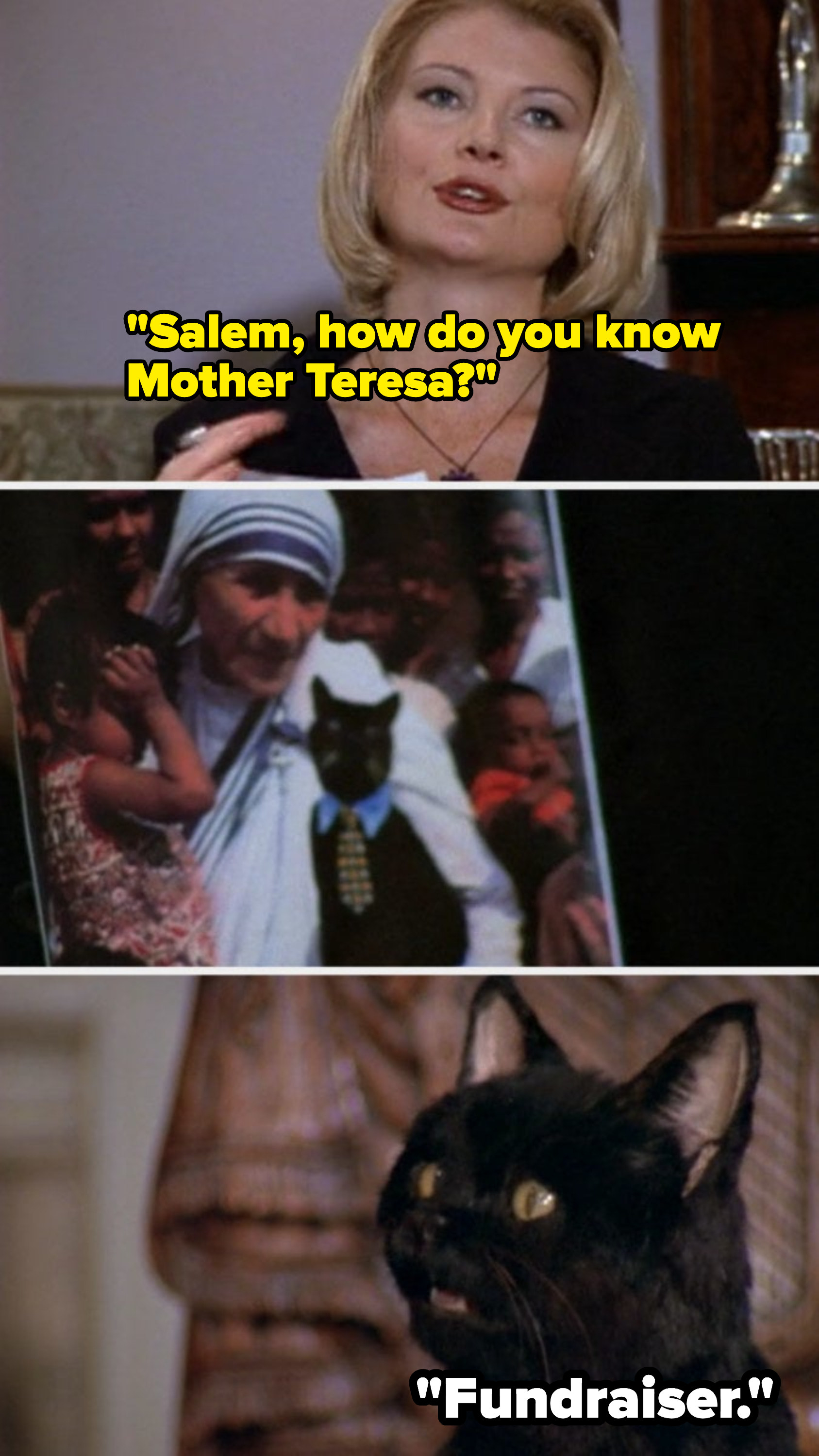 Sabrina The Teenage Witch Cat