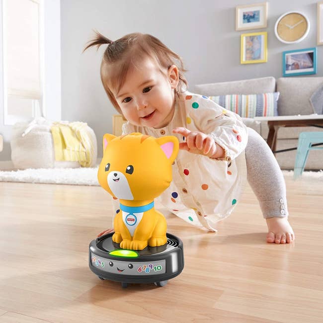 model child playing with cat vac toy