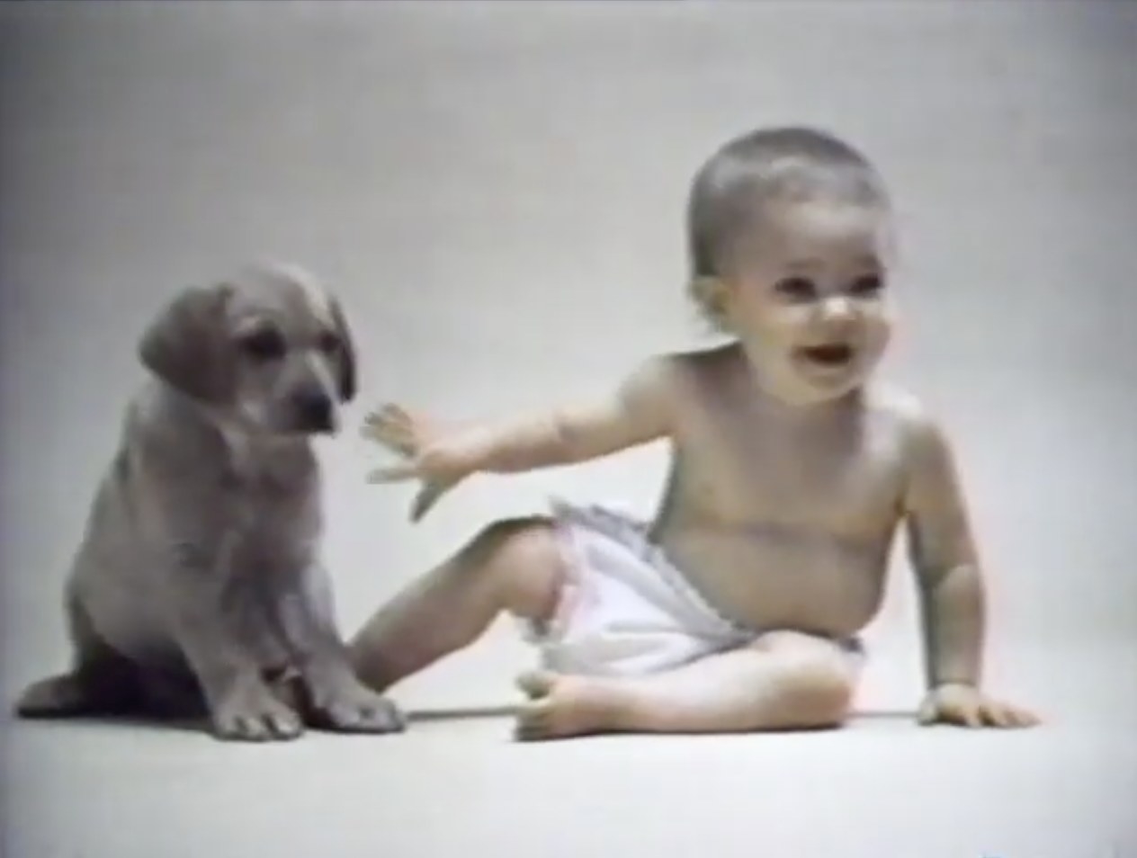Drew Barrymore as a baby in a dog-food commercial