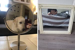 Someone taking a photo of their dog in a vanity mirror, someone lounging on their bed taking a photo of their mirror