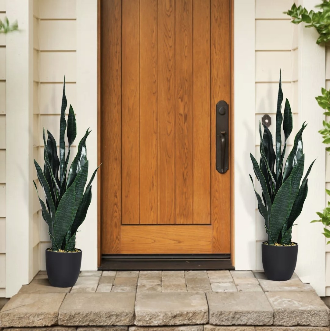 The green snake plants are on either side of a light brown door on a stone porch