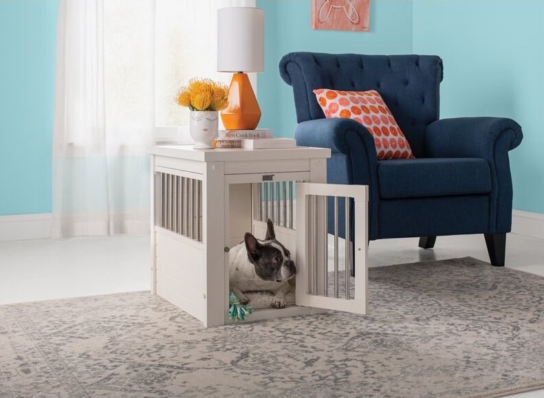 A Frenchie dog rests in the crate, pictured in antique white
