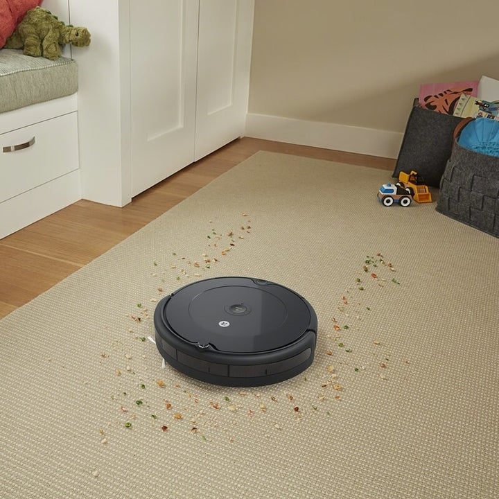 the vacuum picking up crumbs on a rug