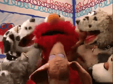 Elmo being loved by puppies