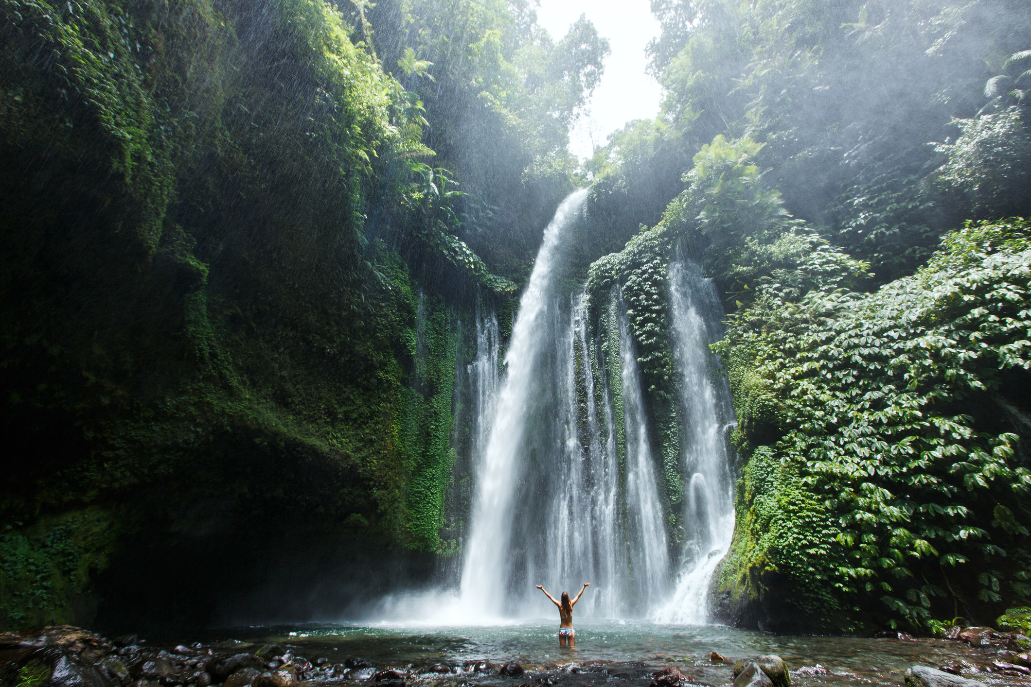 A waterfall surrounded by lush greenery.