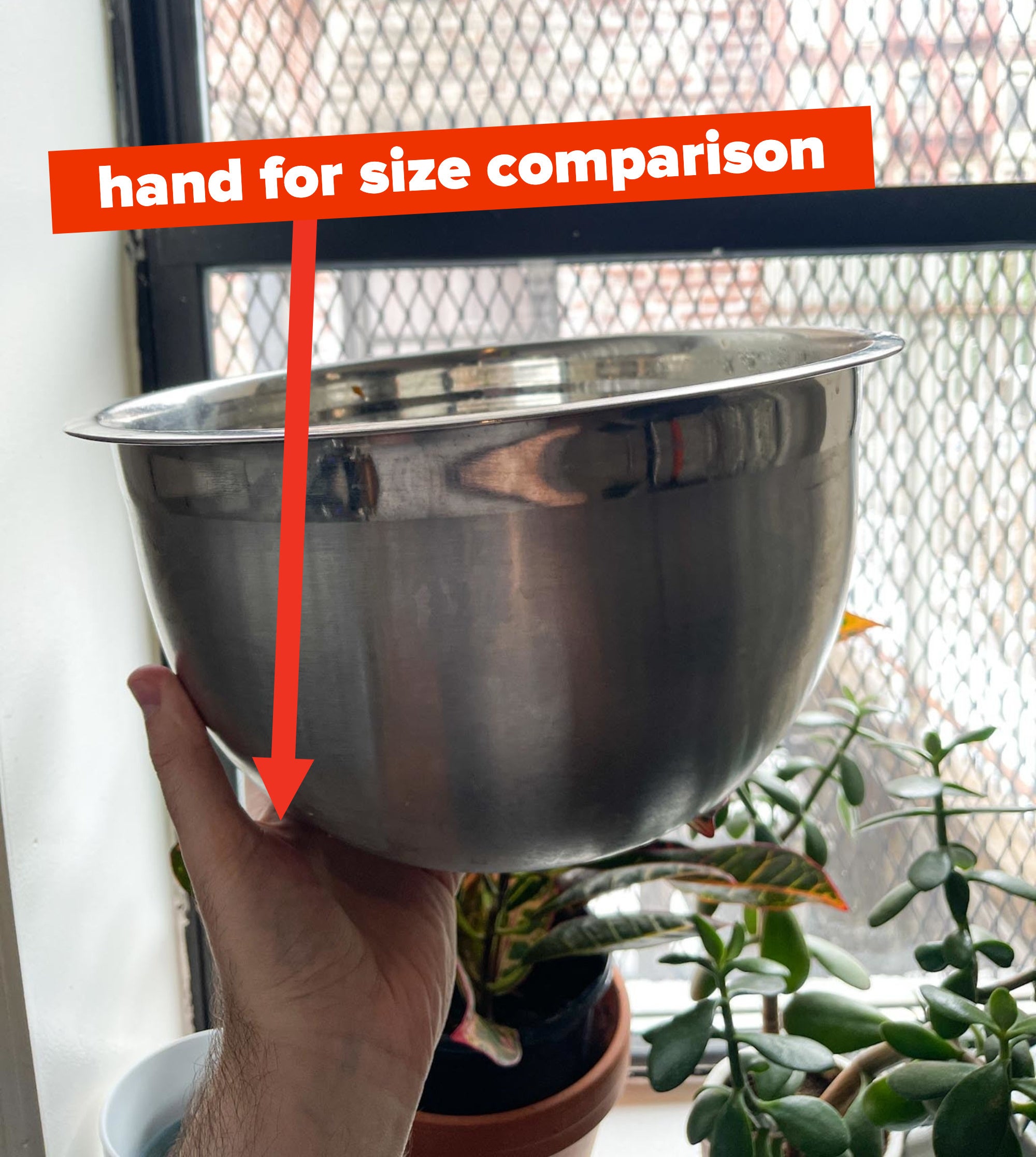 Author holding large metal mixing bowl with hand for size comparison