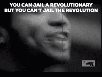Fred Hampton states &quot; You can jail a revolutionary but you can&#x27;t jail a revolution&quot;
