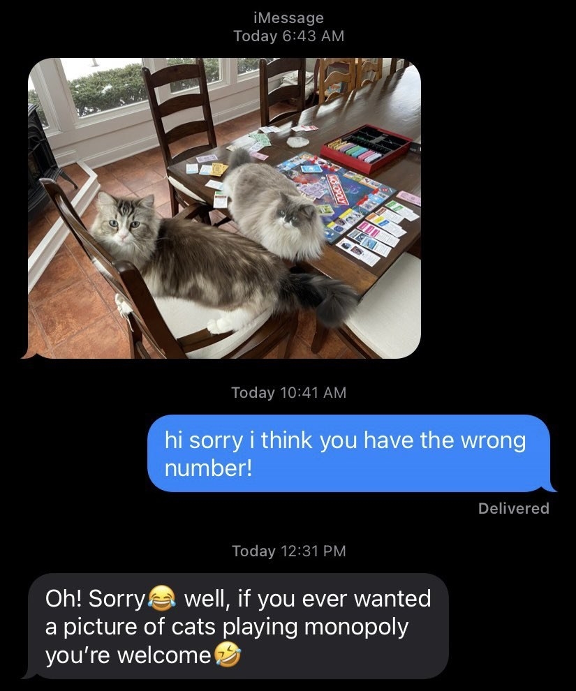 wrong number text of cats playing monopoly