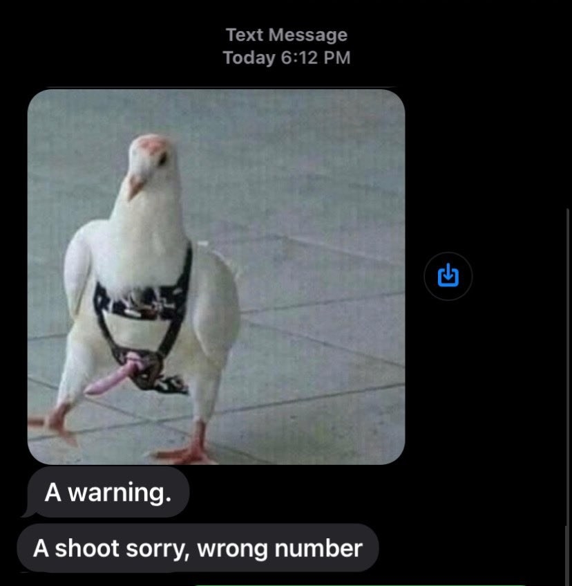 wrong number text of  a bird weaaring a strap