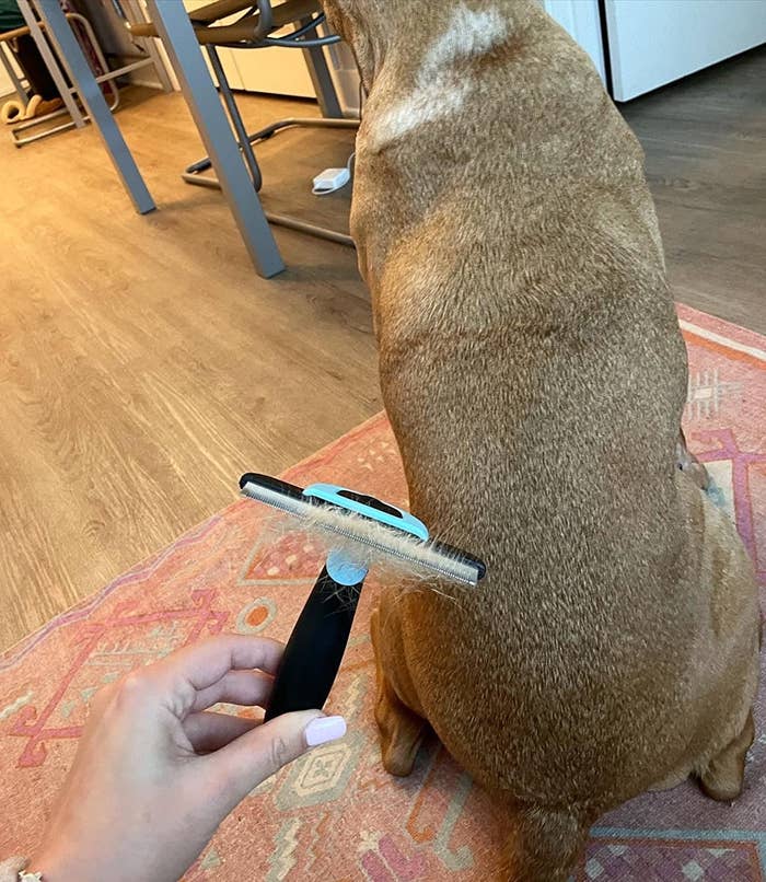 reviewer holding a brush with a lot of dog hair in its teeth