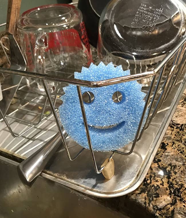reviewer image of a blue scrub daddy in a dish-drying caddy