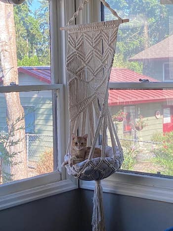 different reviewer's cat hanging out in the macrame hanging bed
